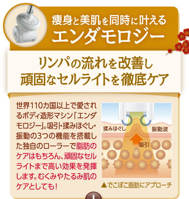 痩身と美肌を同時に叶える エンダモロジー