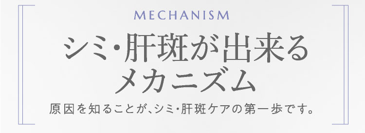 シミを見つけたらご相談ください