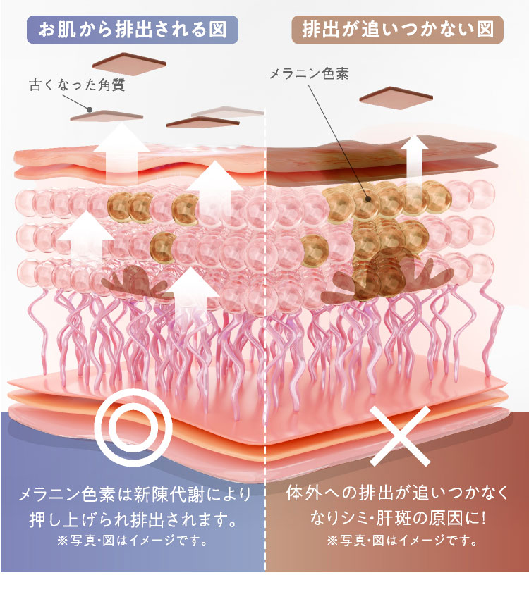 「ピーリング」と「美容液導入」によってターゲットを狙い角質層まで届ける新トリートメントメソッドを採用。シミ・肝斑に加え、ハリ、ツヤ、透明等の対策と予防を行う新体験を是非ご体感ください。