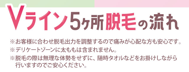 Vライン５ヶ所脱毛の流れ