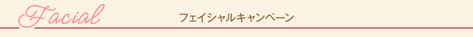 フェイシャルメニュー