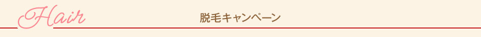脱毛メニュー
