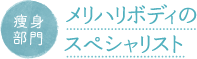 痩身部門 メリハリボディのスペシャリスト